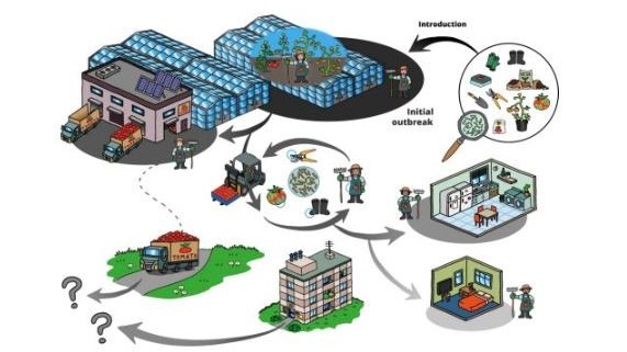 ehlers para recortar b